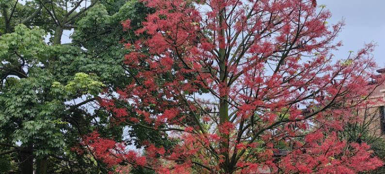 弥勒市糖舍温泉墅民宿图片