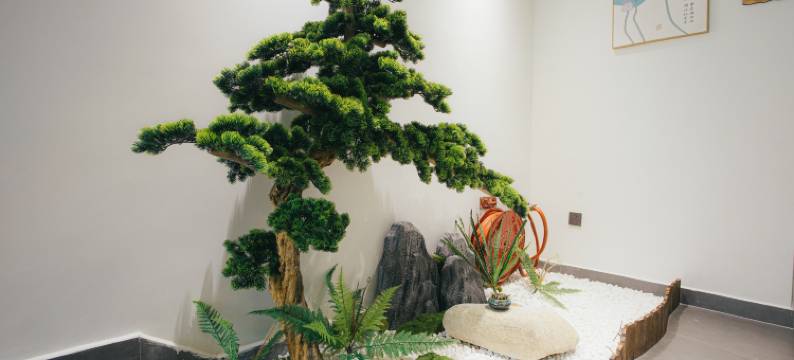 黄山伴山民宿(高铁北站西溪南古村落店)图片