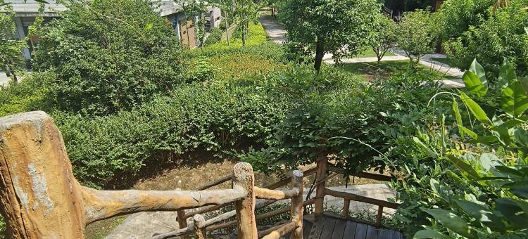 南京林隐木屋图片