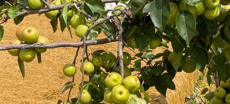 雀CHILL HOTEL(士登店)图片