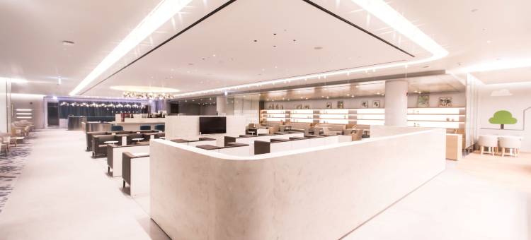 华克山庄仁川机场换乘酒店-2号航站楼(Terminal 2 Transit Hotel Incheon Airport)图片