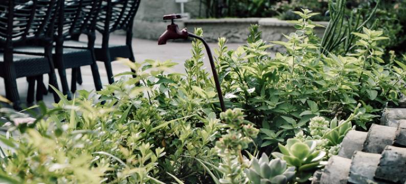 万峰林事无花径民宿图片