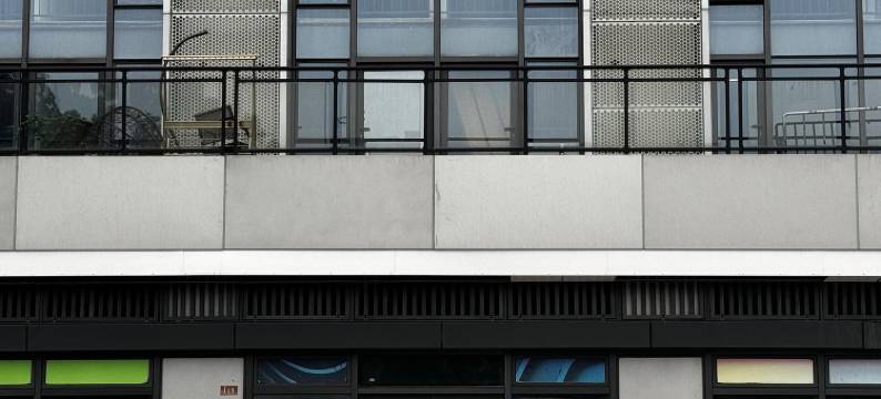 比兔优优公寓(广州长隆野生动物园店)图片