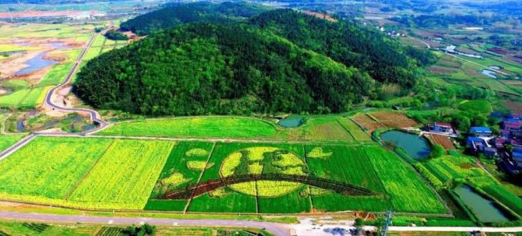 马鞍山极峰四季酒店图片