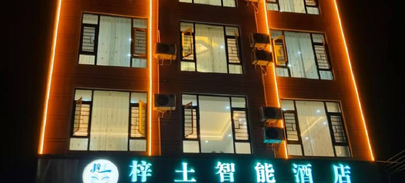 梓土智能酒店(曲靖大龙潭店)图片