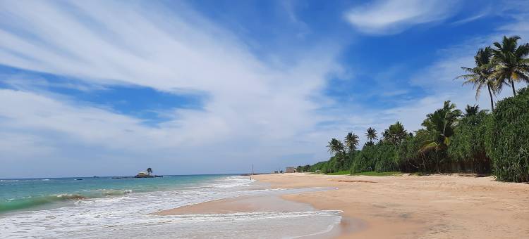 33湖景大道(33 Lake Terrace)图片