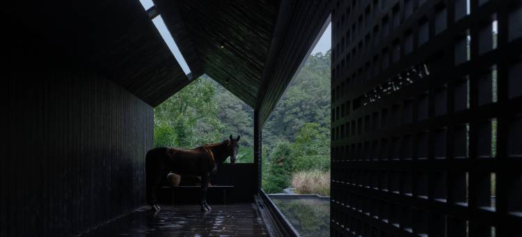 青城山泊岸森氧私汤Villa图片