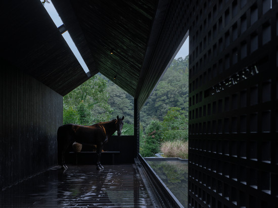 青城山泊岸森氧私汤Villa