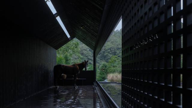 青城山泊岸森氧私汤Villa