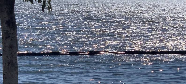 朝夕Comfort·设计美学亲子度假观景美宿(大理洱海生态廊道店)图片