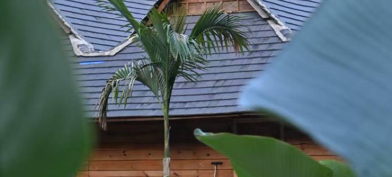 静隐山居环山渡假民宿(嘎洒机场店)图片