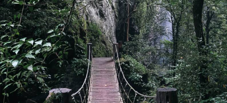 重庆朴乡金佛山度假酒店图片