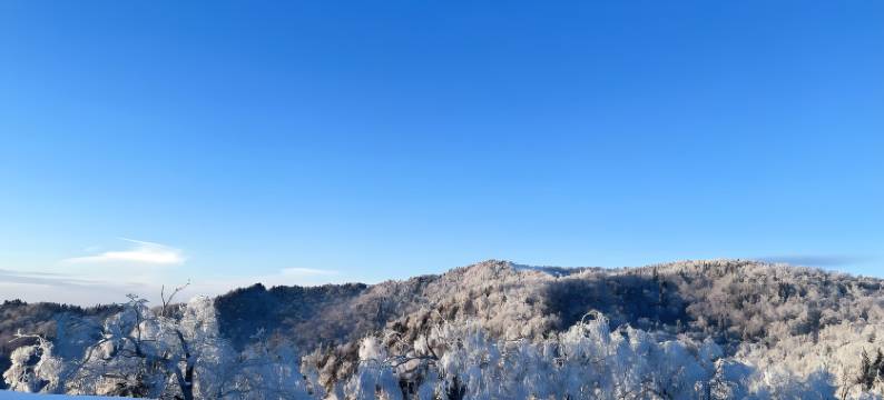 二青客栈(中国雪谷风景区店)图片