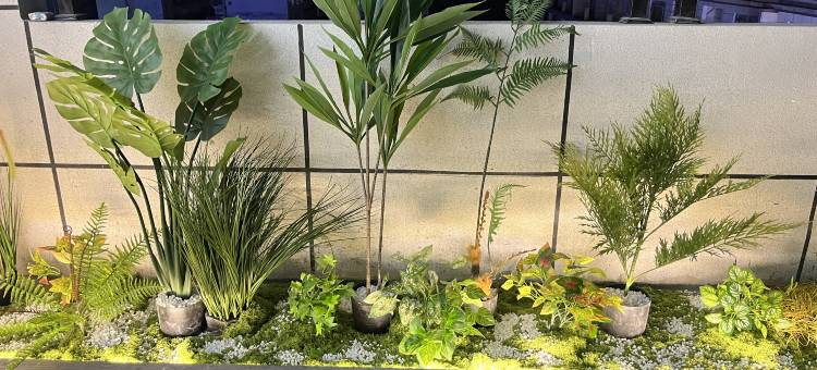 贺州•朋悦｜紫淋智能Elegant.Cozy.Comfortable民宿(灵峰广场店)图片