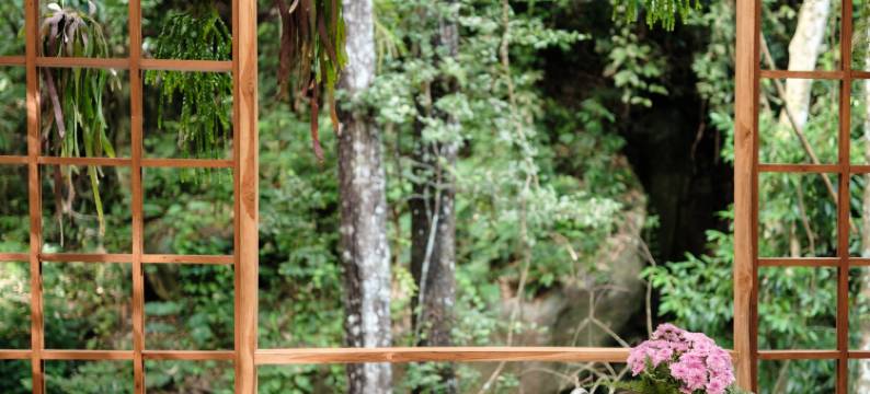 乌玛卡姆(woo ma ca moo)图片