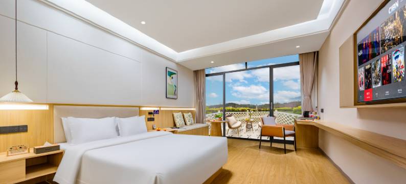 百悦年华酒店(成都天府国际机场店)图片