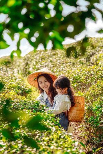 天目湖涵田度假村·松果酒店图片