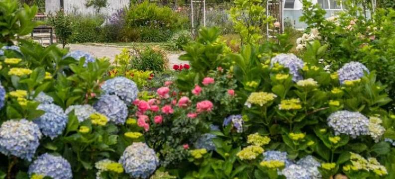 大理海天他家民宿(洱海才村码头店)图片