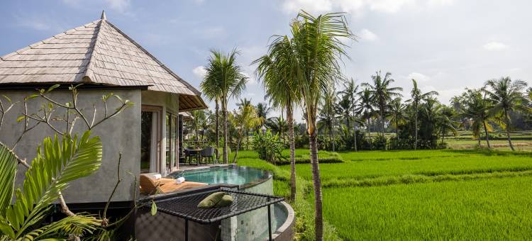 TheWakanda A Pramana Experience图片