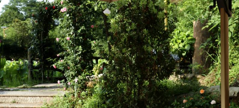 龙塘生态农庄图片