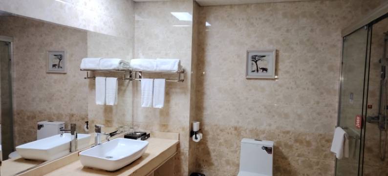 波密岷山登峰大酒店图片