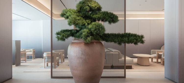 全季酒店(运城新绛北环大街店)图片