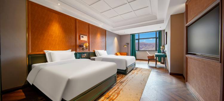 拉萨喆啡锐品酒店图片