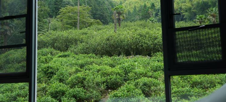 武夷山尝百茶山舍民宿图片