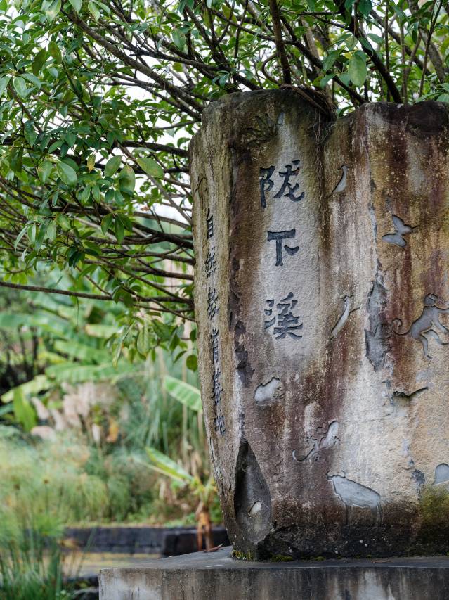 腾冲玛御谷悦椿酒店图片