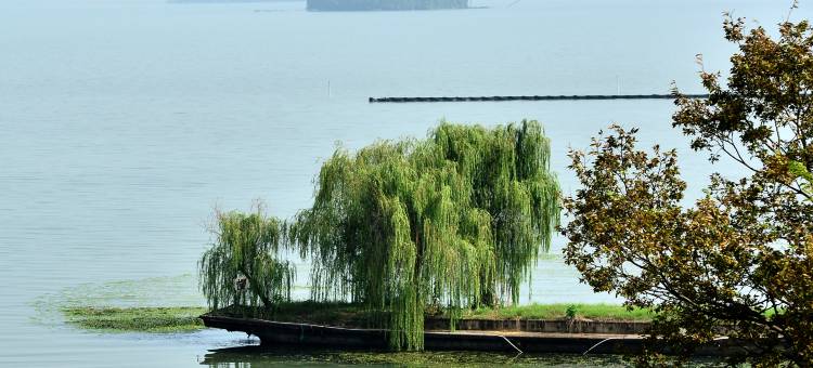 三山岛蜂彩民宿(苏州太湖店)图片