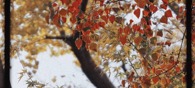 苏州金普顿竹辉酒店图片