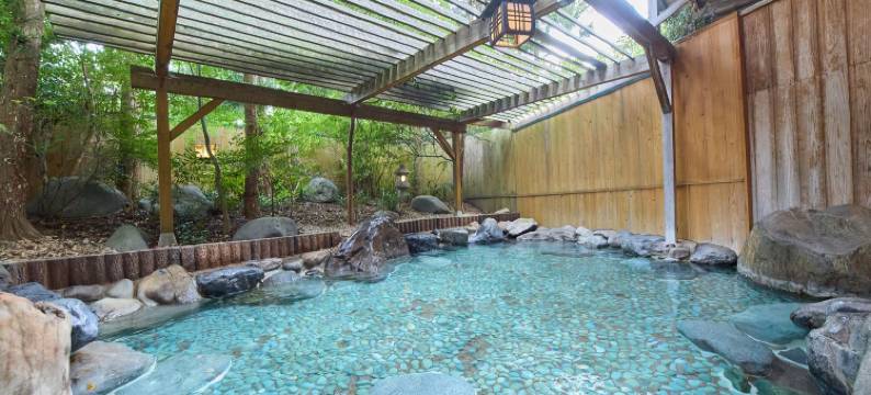 三朝皇家饭店(Misasa Royal Hotel)图片