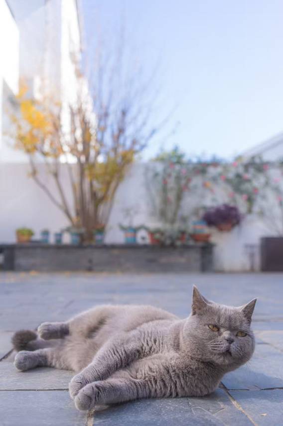 花筑·南京汤山左邻右舍温泉民宿图片