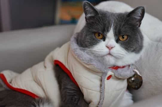 蓦之然居酒店(花果园白宫购物中心店)图片