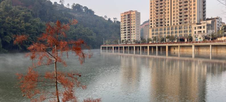 大全富悦酒店(云浮郁南店)图片