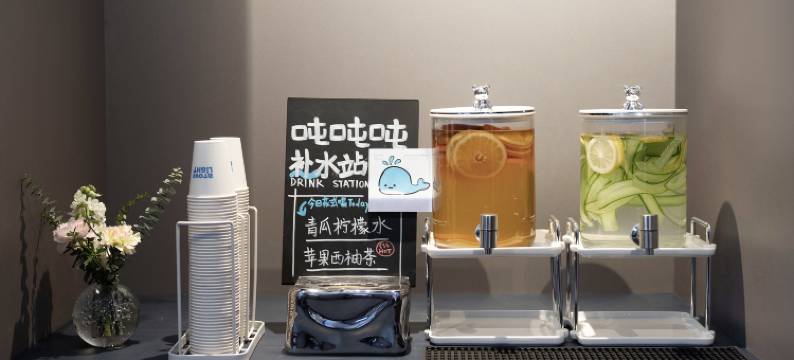 上海新国际博览中心龙阳路地铁站轻居酒店图片