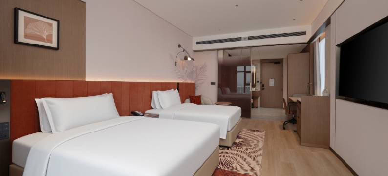 荆州沙市希尔顿花园酒店图片