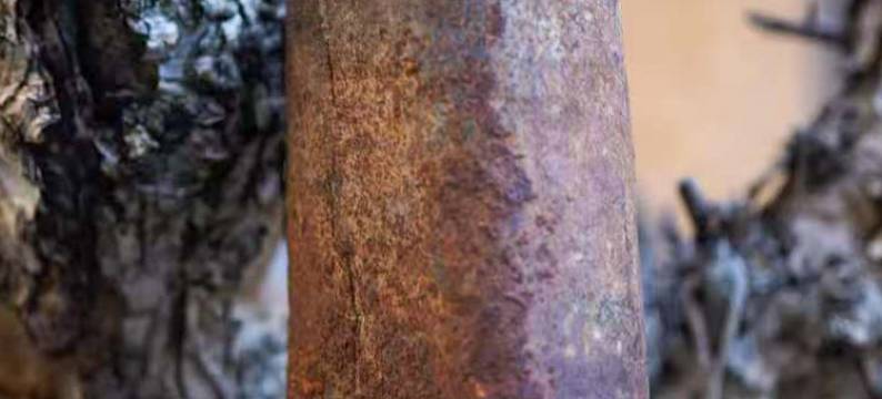 花筑奢·噶丹庄园酒店(独克宗古城店)图片