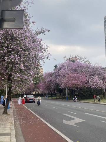 柳州阳光丽景酒店(窑埠古镇游船码头店)图片