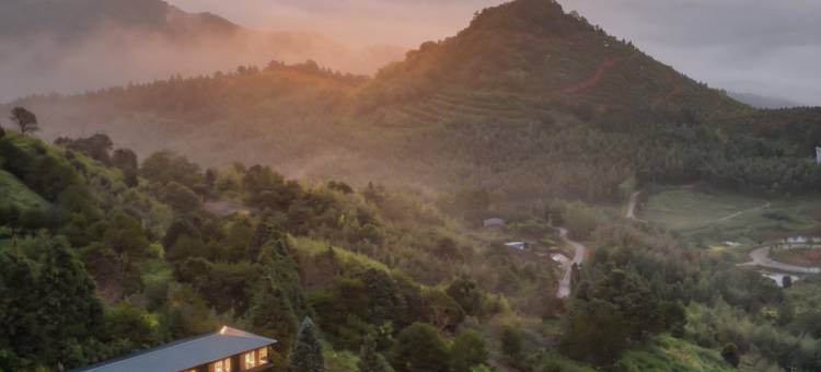 岳山嘉茗茶旅民宿图片