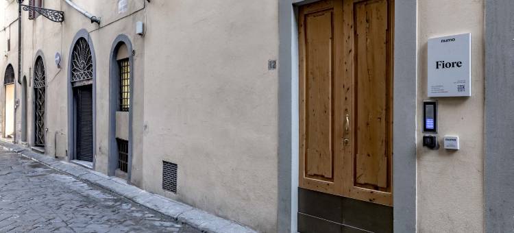 Numa Florence Fiore图片