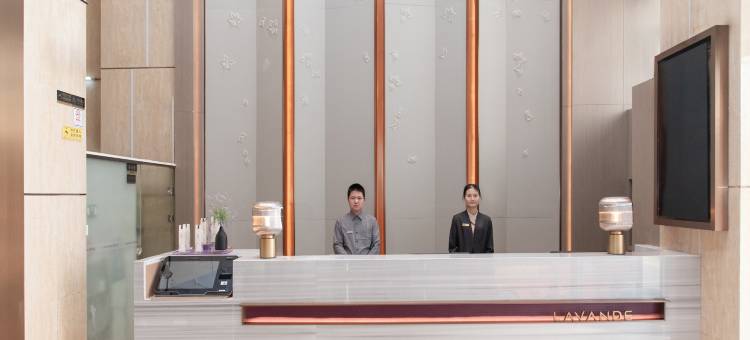 麗枫酒店(广州高铁南站石壁地铁站店)图片