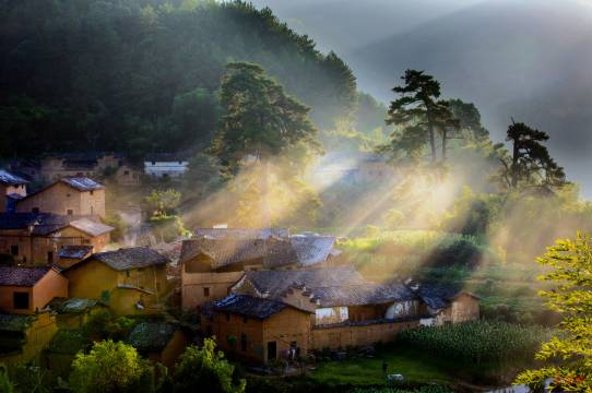 觀|酉田1868民宿