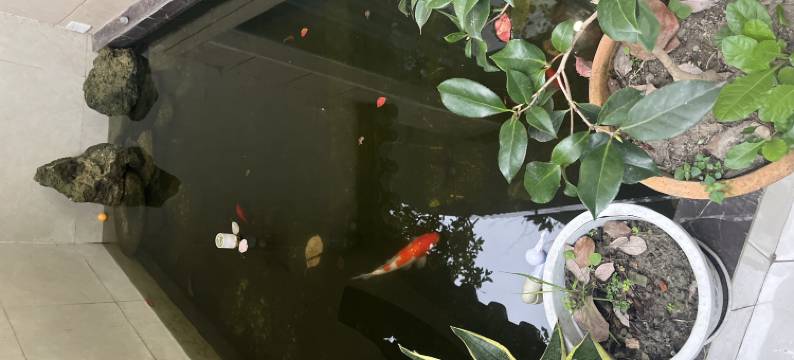 青城山品道·青城民宿图片