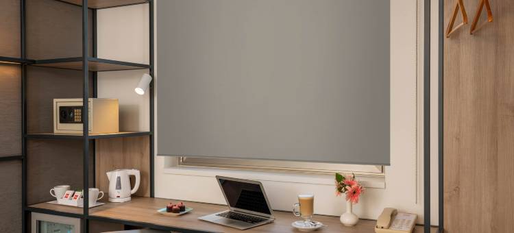 伊斯坦布尔宰廷布尔努宜必思酒店(Ibis Istanbul Zeytinburnu)图片