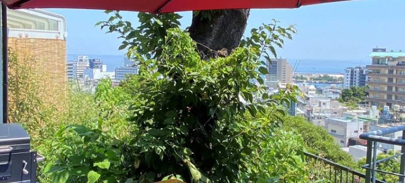 别墅玛雷热海(Villa Mare Atami)图片