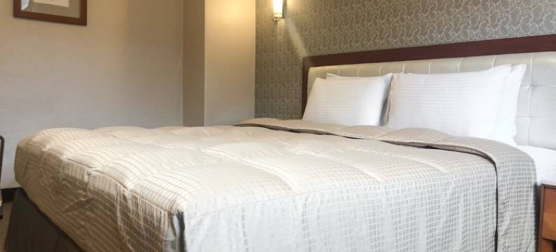 台北同一大饭店图片