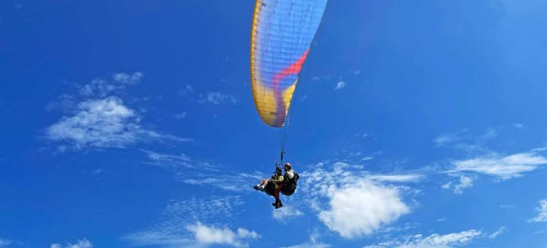 南雅·花海泳池环山Villa美宿图片