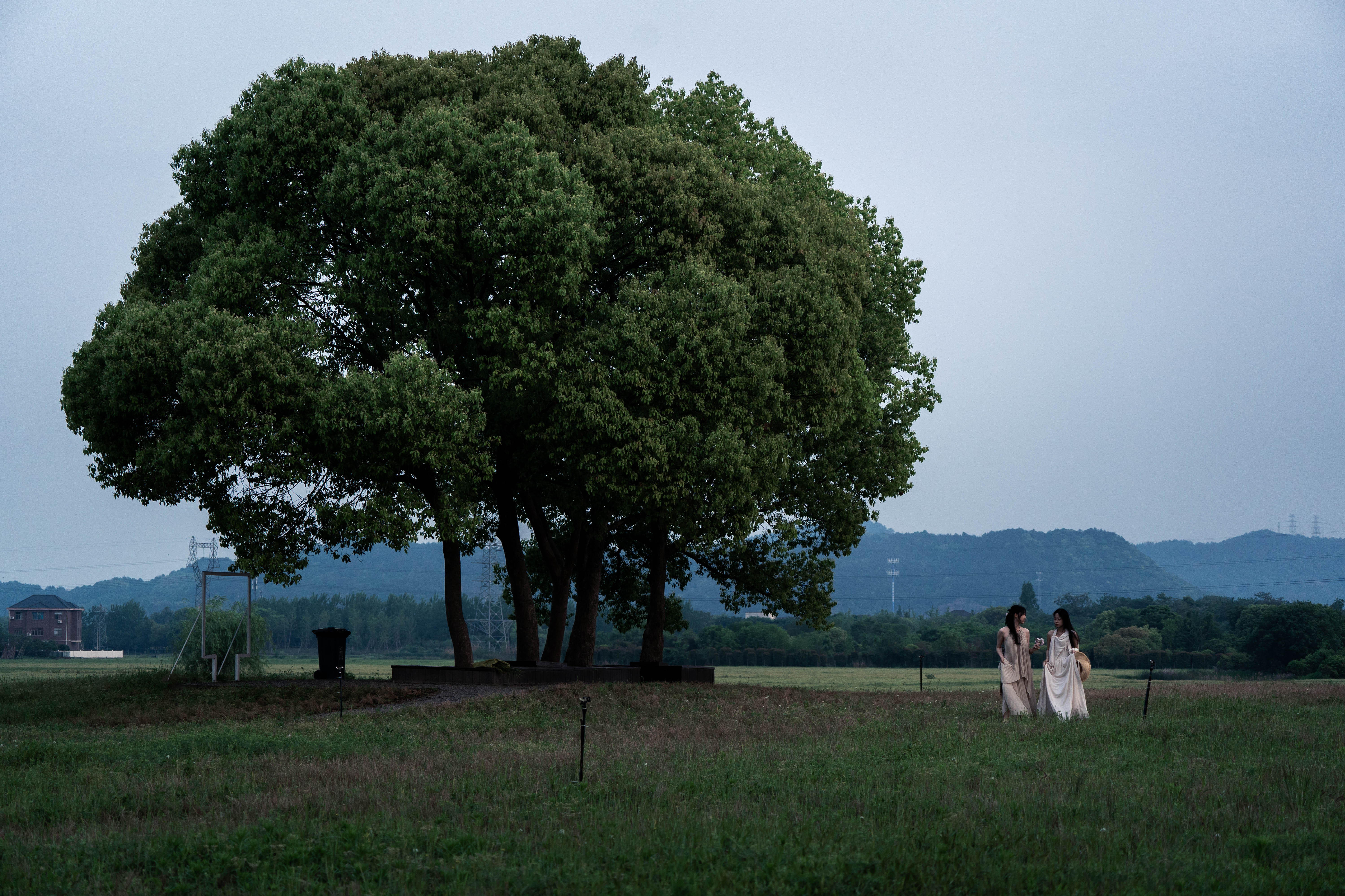 Hangzhou Lushan  Yaji Homestay (Liangzhu Ancient City Ruins Park Branch)Over view