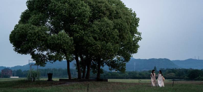 杭州雉山雅集民宿(良渚古城遗址公园店)图片